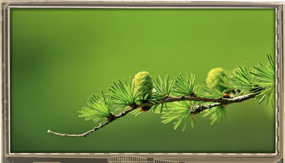 4.30 inch 480x272 TFT Display, BTH043A-DHC$