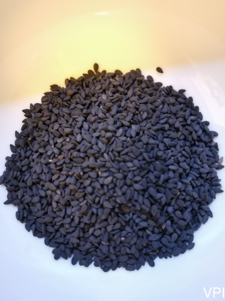 Black Sesame Extract Powder