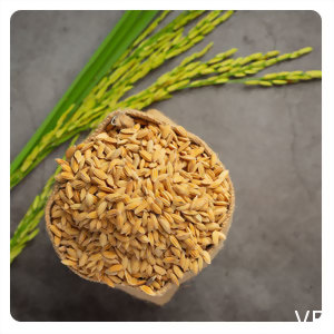 GABA是什麼？是人體內存在的物質嗎？