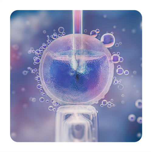 何為食品外泌體及其生技運用