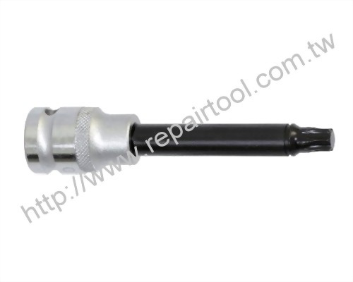 Tx-Star Bit Socket