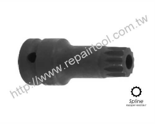 Special Tamper. Spline Impact Bit Socket