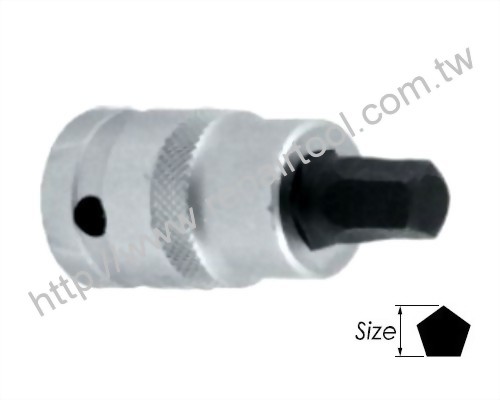Pentagon Insert Bit Socket