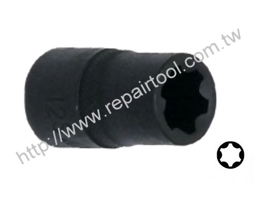 Special 6-Point Socket