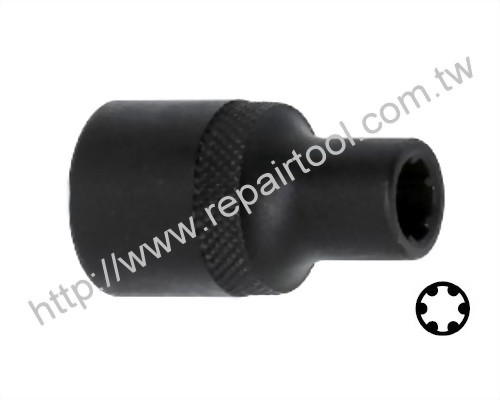 Special 6-Point Socket