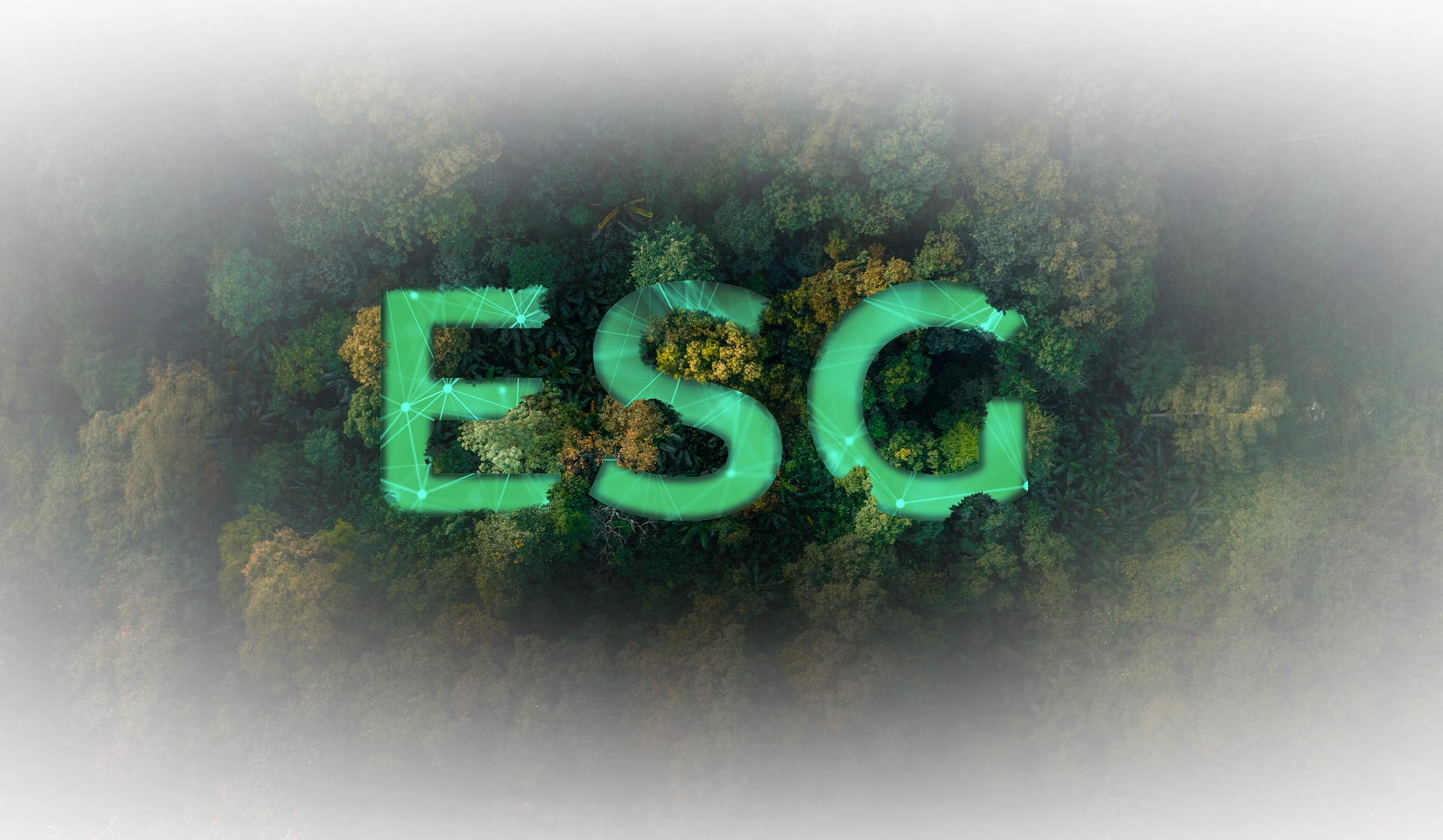 ESG