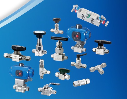 日本Fujikin儀表接頭、閥件