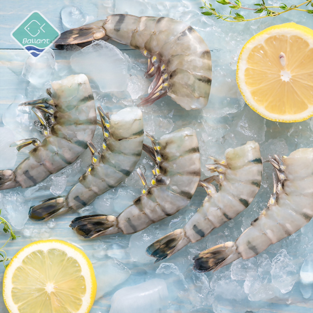 Black Tiger Shrimp (HLSO)