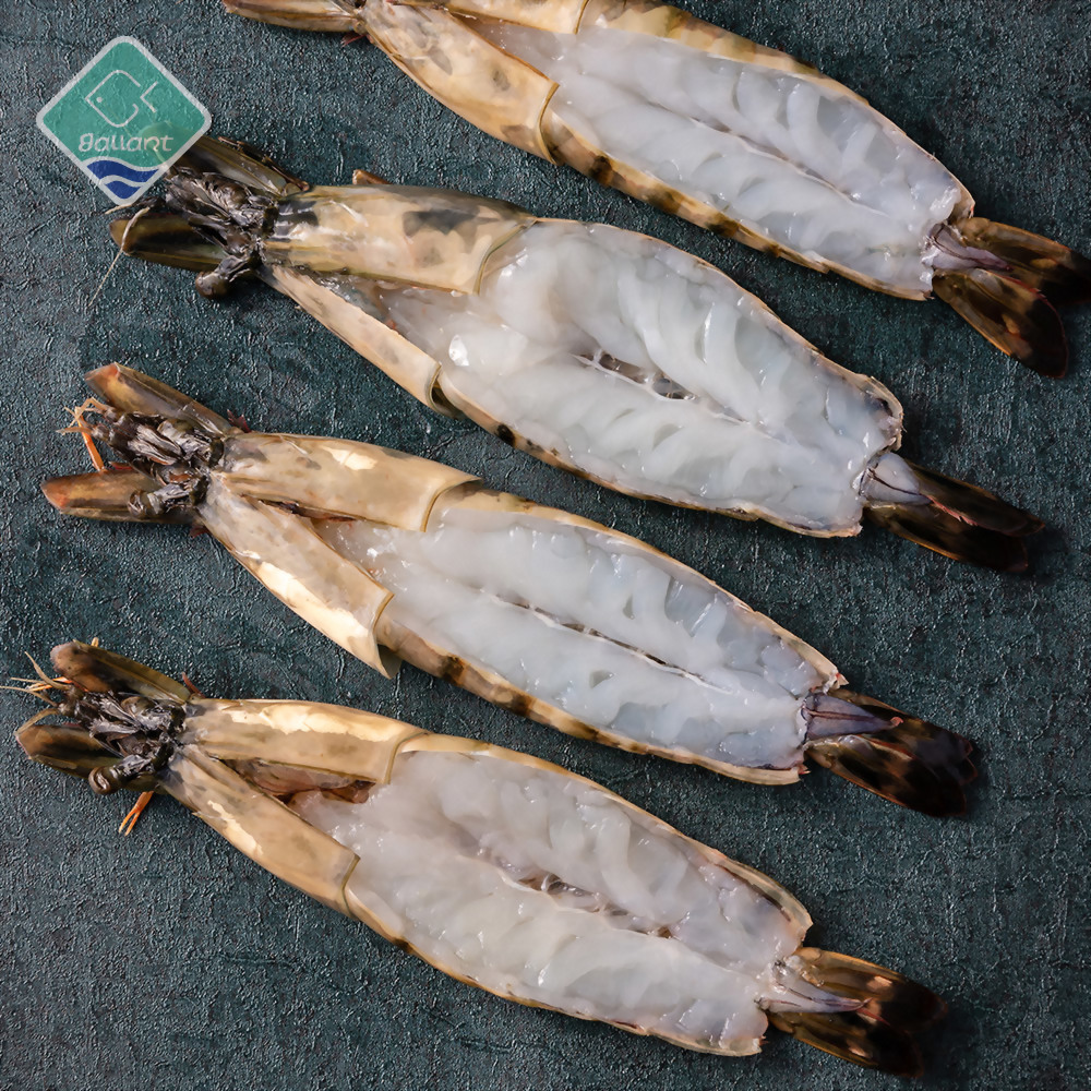 Hobutterfly Shrimp