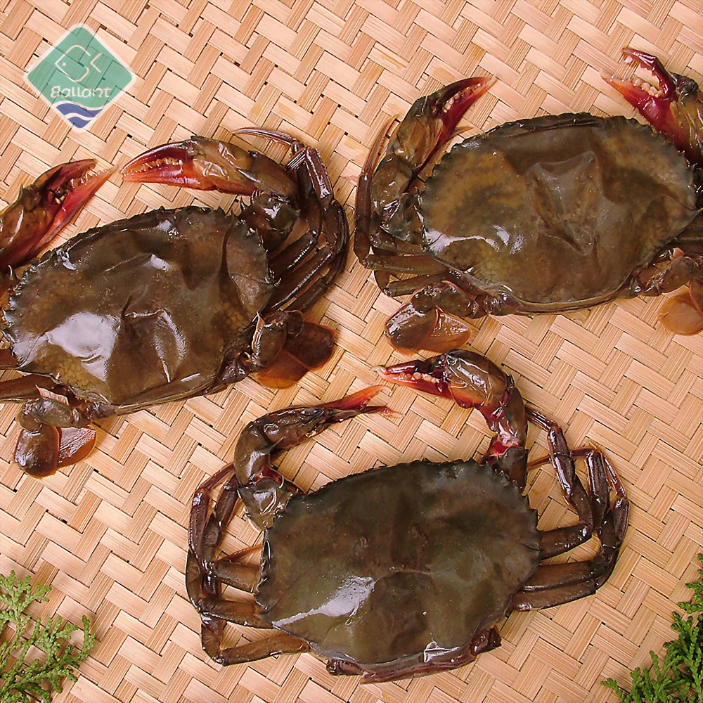 Raw Soft Shell Crab