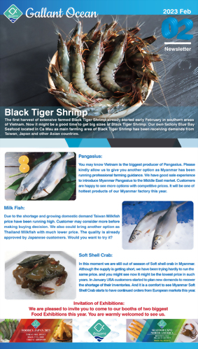 Gallant Ocean Newsletter Feb 2023 Gallant Ocean Newsletter Feb 2023