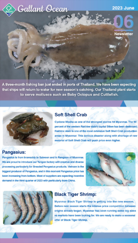 Gallant Ocean Newsletter June 2023 Gallant Ocean Newsletter June 2023