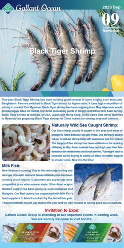 Gallant Ocean Newsletter Sep 2023 Gallant Ocean Newsletter Sep 2023