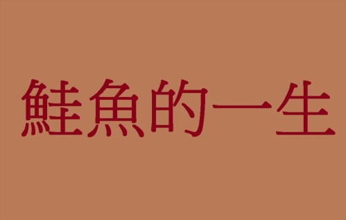 影片介紹 鮭魚的一生