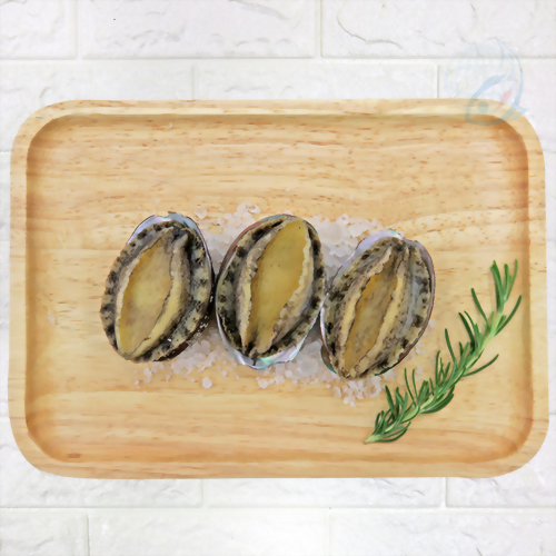 【認識鮑魚】貢寮鮑 養殖故事大公開，一起來認識牠！ 資料來源: 旅遊經 洪書瑱報導