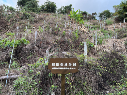 嘉豐海洋植樹造林計劃 位於 嘉義縣中埔鄉 嘉豐海洋植樹造林計劃 位於 嘉義縣中埔鄉