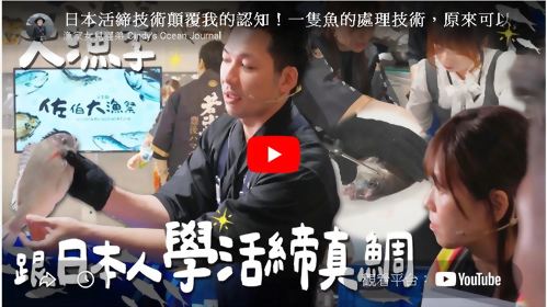 【漁家女兒猩弟｜日本活締技術】日本活締技術顛覆我的認知！一隻魚的處理技術，原來可以這麼細節！