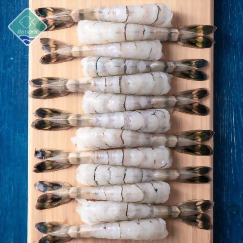 Black Tiger Shrimp (PDTO)