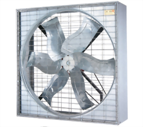 30" - 36" 皮帶式 工業用 排風機