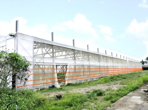Pingtung Solar Smart Farm Shed Security System