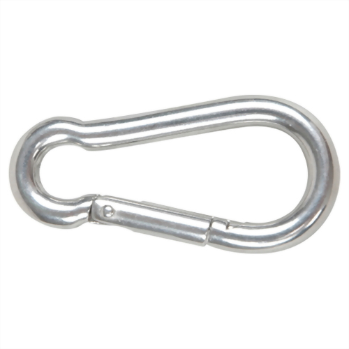 Spring Snap Hook