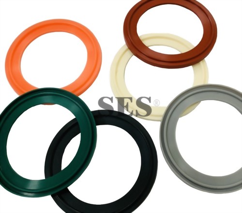 Clamp seals