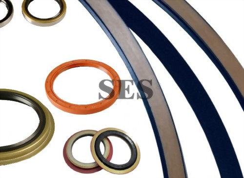 Oil Seal