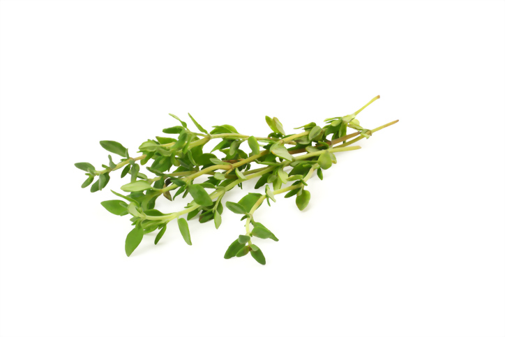 Thyme oil