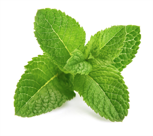 Peppermint oil