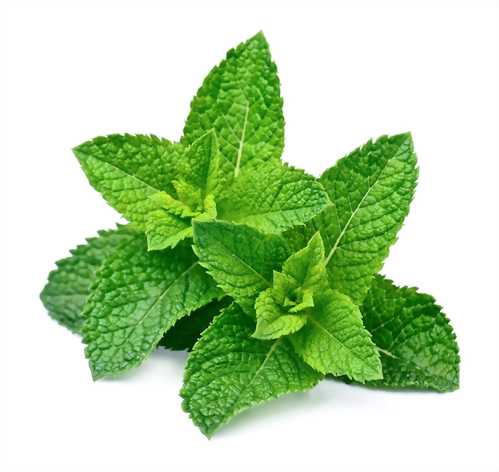 Spearmint oil