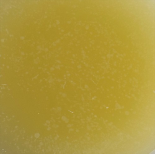 Bitter Orange Floral Wax