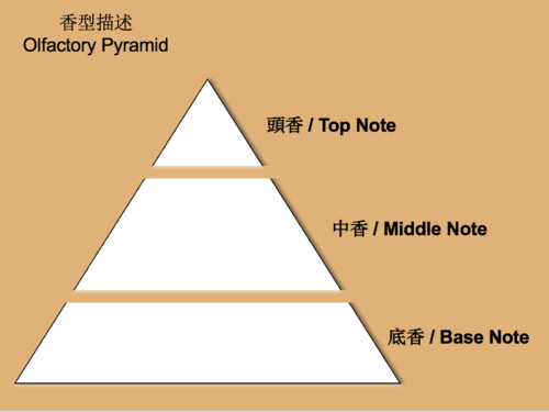 Grapefruit Fragrance