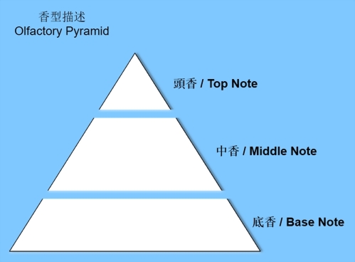 Ocean Breeze Fragrance