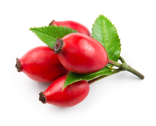 Refined Rosehip Oil