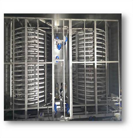 IQF INDIVIDUALLY QUICK FROZEN