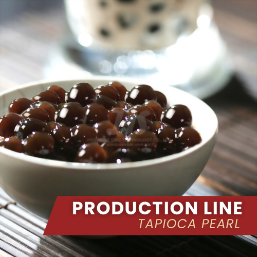 TAPIOCA PEARL MAKING MACHINE