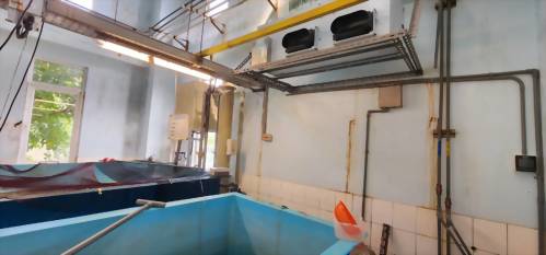 中央研究院臨海研究站