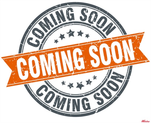 Gentamicin (As Sulfate)