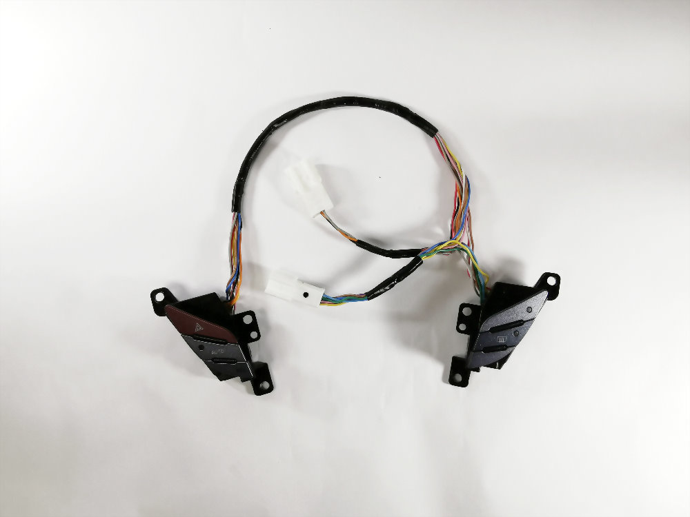 S.W harness for control system